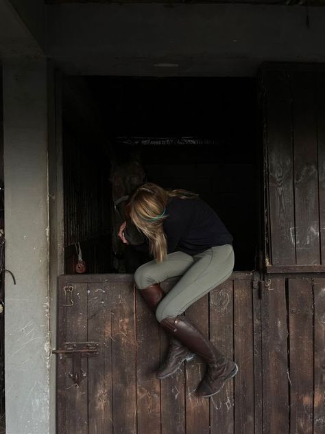 Equestrian Aesthetic, Horseback Riding, Equestrian, Fence, Instagram Profile, Horses, On Instagram, Instagram, Horse Riding