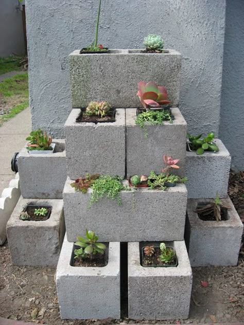 Cinder blocks flower pot planter | Sheknows.com Kebun Herbal, Taman Diy, Cinder Block Garden, Cement Blocks, Cement Planters, Pepper Plants, Planter Ideas, Cinder Block, Have Inspiration