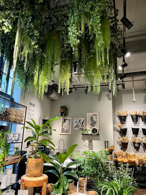 Leaf Ceiling Design, Fake Plants On Ceiling, Greenery Hanging From Ceiling, Plants Chandelier, Plant Ceiling Decor, Hanging Plants Ceiling, Foliage Ceiling, Greenery Ceiling, Garden Ceiling