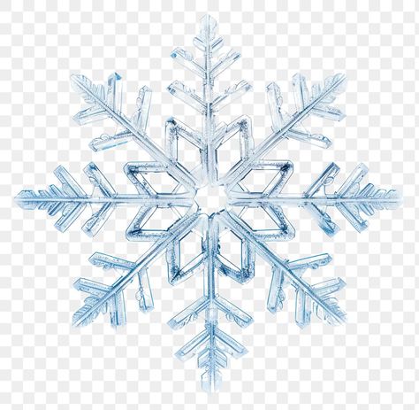 Y2k Png, Snowflake Png, Alumni Reunion, Snow Png, Snowflake Snowflake, Snowflake Images, Bobbie Goods, Snowflake Sticker, Snow Images