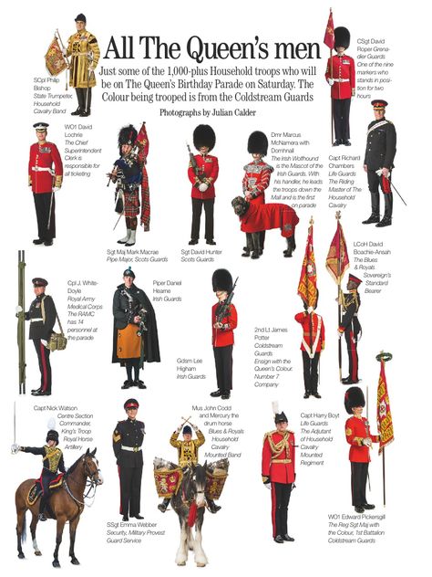 Romanov Family Tree, Navy Ranks, British Guard, Soldier Graphic, Army Ranks, British Army Uniform, British Uniforms, British Armed Forces, Royal Family England