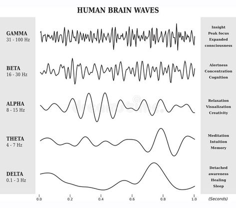 Human Brain Waves Diagram / Chart / Illustration. In Black and White #Sponsored , #sponsored, #Paid, #Brain, #Diagram, #Black, #Waves Alphabet Code, Stages Of Sleep, Diagram Chart, What Is Science, White Illustration, Brain Waves, Human Brain, Healthy Sleep, Black And White Illustration