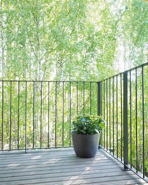 Outdoor Stair Balustrade, Contemporary Railings Exterior, Exterior Balcony Railing, Balcony Railings Exterior, Modern Railing Outdoor, Iron Railings Outdoor Balconies, Modern Exterior Railing, Balcony Railing Design Outdoor, Exterior Railing Ideas