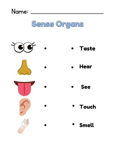 Sense Organs worksheets Activity Sheets For Preschoolers, Sense Organs, Nursery Worksheets, Worksheets For Class 1, Shape Activities Preschool, Cvc Words Kindergarten, Guided Reading Kindergarten, Kindergarten Reading Activities, Shapes Activities