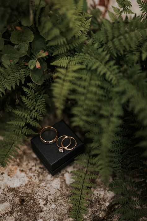 Wedding Rings Photography Ideas, How To Photograph Jewelry, Ring Photoshoot Ideas, Wedding Ring Photo Ideas, Wedding Jewelry Photography, Wedding Ring Photography, Wedding Ring Shots, Jewellery Photography Inspiration, Ring Photography