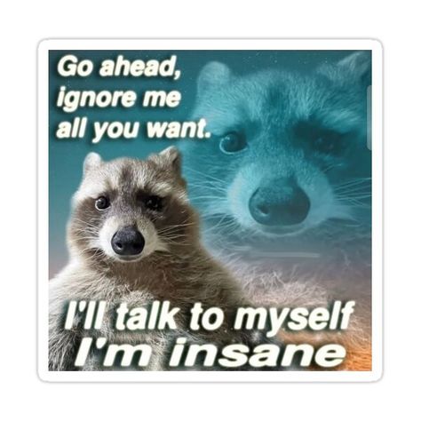 Im Insane, Raccoon Funny, Beastie Boys, Trash Panda, The Crow, Ignore Me, Racoon, Funny Reaction Pictures, Cute Memes