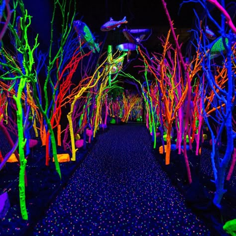 link to HOW TO VIRTUALLY EXPERIENCE THE CITY DIFFERENT Rave Party Decorations, Rave Theme, Neon Jungle, Forest Party, Deco Luminaire, Neon Party, Glow Party, Bar Mitzvah, Stage Design