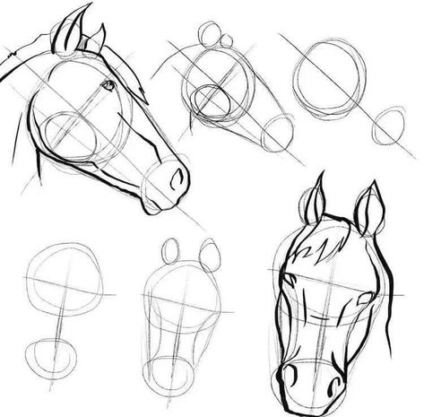 Horse Drawing Tutorial, Horse Head Drawing, Draw A Horse, Abstract Painting Acrylic Modern, Horse Art Drawing, Head Drawing, Horse Sketch, Animal Illustration Art, Horse Drawing