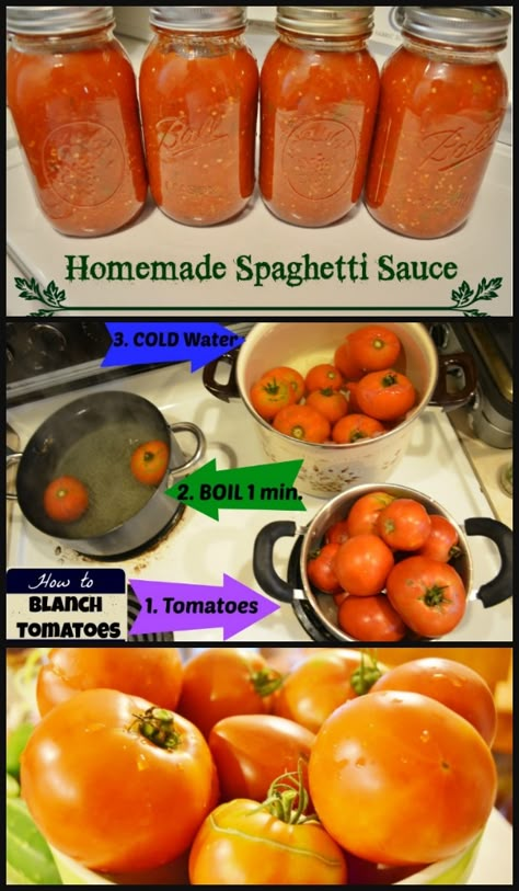 Spaghetti Sauce Canning Recipe, Spaghetti Sauce Canning, Canning Homemade Spaghetti Sauce, Homemade Spaghetti Sauce Easy, Homemade Spaghetti Sauce Recipe, Canned Spaghetti Sauce, Fresh Tomato Recipes, Home Canning Recipes, Canning Vegetables