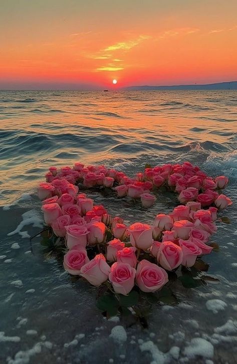 Flowers Love Aesthetic, Aesthic Photos, Pink Flower Wallpaper, Beachy Wallpapers, Pretty Flowers Photography, Pretty Flowers Pictures, Pictures Of Flowers, Cute Summer Wallpapers, Lovely Flowers Wallpaper