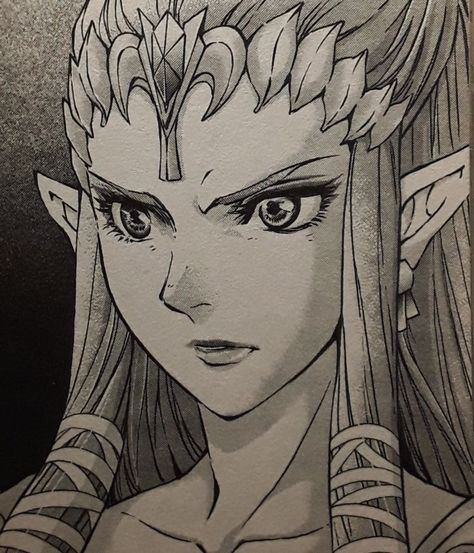 Manga: Twilight Princess Vol 7 Twilight Princess Characters, Twilight Princess Manga, Legend Of Zelda Characters, Prettiest Girl, Zelda Twilight Princess, Zelda Art, Fun Illustration, Twilight Princess, Art Films