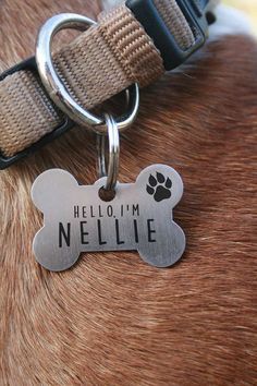 Designer Dog Accessories, Homemade Dog Toys, Working Dogs Breeds, Big Dog Breeds, Tag Name, Packing Gift, Bone Dog, Dog Name Tags, Dog Collar Bows