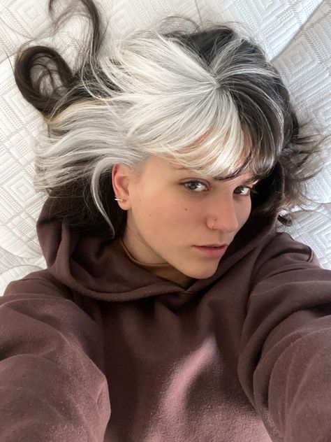 Black Hair Gray Streak, Dark Brown With White Hair, Brunette And Platinum Hair, White Front Pieces Hair, Grey Roots Black Ends, White On Top Black On Bottom Hair, Silver Split Dye, White Bangs Black Hair, White Wolfcut