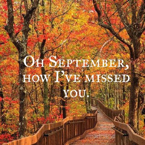 Hello September Sunflower, Hello September Quotes, September Images, September Quotes, September Fall, Welcome September, Month Quotes, Fall Quotes, Fall Mood Board