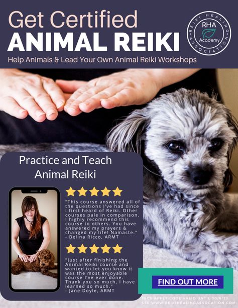 Animal Reiki Healing, Poochon Puppies, Pet Healing, Reiki Principles, Reiki Business, Reiki Session, Pet Care Business, Reiki Courses, Reiki Room