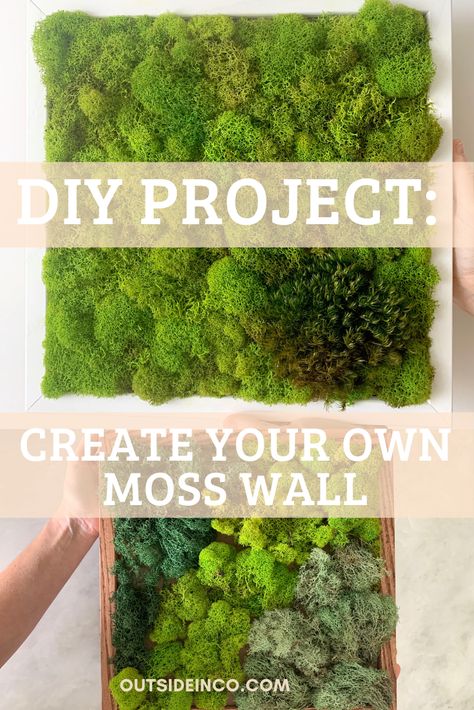 Making A Moss Wall, Indoor Moss Wall Diy, Real Moss Wall Diy, Living Moss Wall Art Diy How To Make, Diy Moss Wall Art How To Make, Live Moss Wall Art Diy How To Make, How To Make Living Moss Wall Art, Moss Canvas Diy, Diy Moss Art Wall