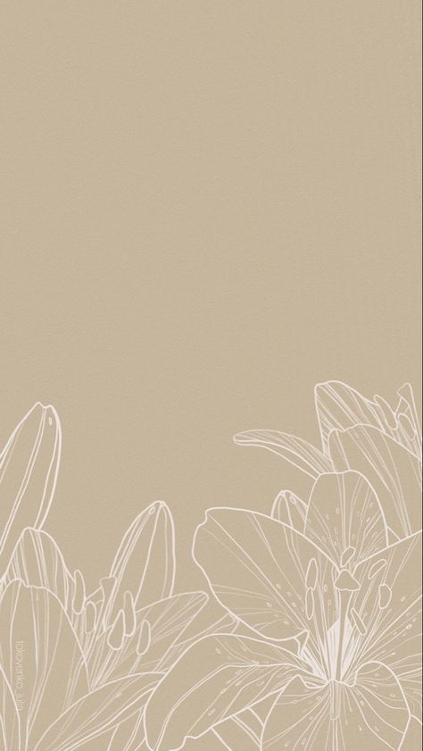 Lilly Flower Wallpaper Iphone, Minimalistic Floral Wallpaper, Lilly Wallpaper Flower, Lily Flower Aesthetic Drawing, Lily Flower Wallpaper Iphone, Lily Iphone Wallpaper, Lily Flower Aesthetic Wallpaper, Lily Aesthetic Wallpaper, Lily Wallpaper Aesthetic