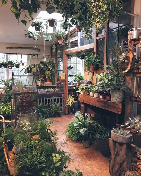 If I could have a garden shop at the rear of my home just like this! Tanaman Indoor, نباتات منزلية, Indoor Gardens, Room With Plants, Cool Ideas, Garden Shop, Decor Minimalist, House Goals, Design Case