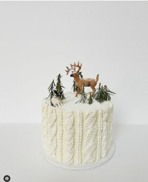 13 Beautiful Winter Cake Designs - Wondafox Winter Cake Decor, Winter Cake Aesthetic, Baby It's Cold Outside Baby Shower Cake, Winter Baby Shower Cupcakes, Cake Winter Birthday, Simple Winter Birthday Cake, January Birthday Cake, Birthday Cake Winter Theme, Winter Birthday Cake Ideas