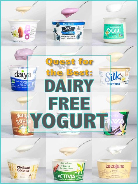 Quest for the Best – Dairy Free Yogurt Yogurt Alternatives Dairy Free, Non Dairy Yogurt, Yogurt Alternatives, Dairy Free Yogurt Recipe, Gluten Free Yogurt, Dairy Free Greek Yogurt, Protein Chart, Coconut Milk Yogurt, Almond Milk Yogurt