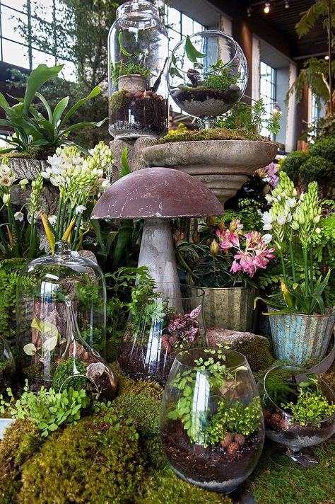 Promising to do for gardening what Urban Outfitters did for street style, Terrain is opening its second garden and home store in Westport. Garden Center Displays, Indoor Gardens, Garden Terrarium, Garden Store, Plants And Flowers, Garden Shop, Greenhouses, Dream Garden, Garden Room