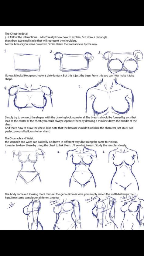 Drawing Female Anatomy Tutorial, Striper Drawing Poses, Arm Drawing Female, How To Draw Female Anatomy Step By Step, Anime Torso Reference, Drawing The Female Body, How To Draw A Torso Female, How To Draw Torso Female, Drawing Bodies Female