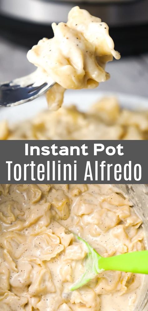 Instant Pot Tortellini Alfredo is a delicious pressure cooker pasta recipe made with refrigerated three cheese tortellini, garlic puree, heavy cream, mozzarella and Parmesan cheese. Pressure Cooker Tortellini Recipes, Instant Pot Chicken And Tortellini, Instant Pot Tortellini Alfredo, Instant Pot Cheese Tortellini Recipes, Instant Pot Recipes Tortellini, Instant Pot Chicken Tortellini Alfredo, Insta Pot Tortellini Recipes, Instant Pot Boursin Pasta, Tortellini Instant Pot Recipes