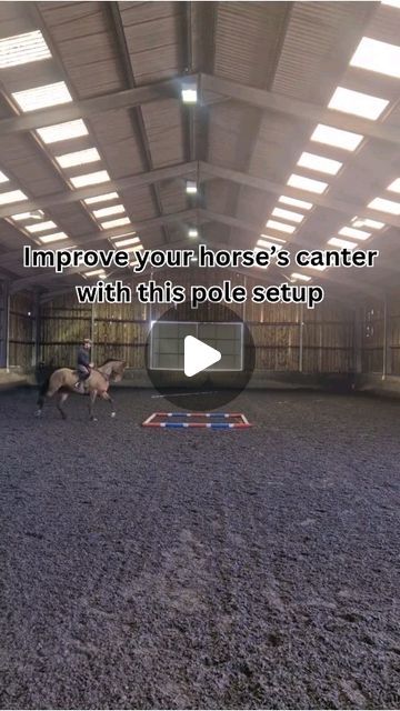 Dan Bizzarro on Instagram: "Easy to set up and super useful exercise to improve your horse's rhythm and straightness.

1 Square of poles can be used for 20+ different exercises. 

Follow me to find out all the different ways you can use this simple pole set up!
.
.
.
.
.
.
.
.
.
.
.
#danbizzarro 
#poleworkout 
#training 
#horsesofinstagram 
#eventing 
#showjumping 
#dressage" Arena Exercises For Horses, Horse Grid Exercises, Ground Pole Exercises For Horses, Ground Pole Exercises Horses, Horse Pole Exercises, Flatwork Exercises Horses, Polework Exercises Horse, Pole Work For Horses, Pole Exercises For Horses