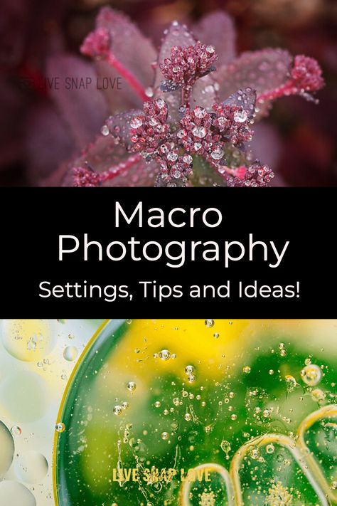 Do you want to explore the world of macro photography but don’t know where to start? It can be intimidating to venture into a completely new realm of photography, but with the right guidance it can be easy and rewarding too! At Live Snap Love, we have many helpful macro photography settings, tips and ideas that will help you start taking beautiful photos now. Read now to learn how to take macro photos you love! Photography Texture Ideas, Macro Photography Ideas Creative, Photography Ideas Videos, Macro Photography Settings, Best Cameras For Photography, Creative Macro Photography, Macro Photography Ideas, Macro Lens Photography, Autocad 2016