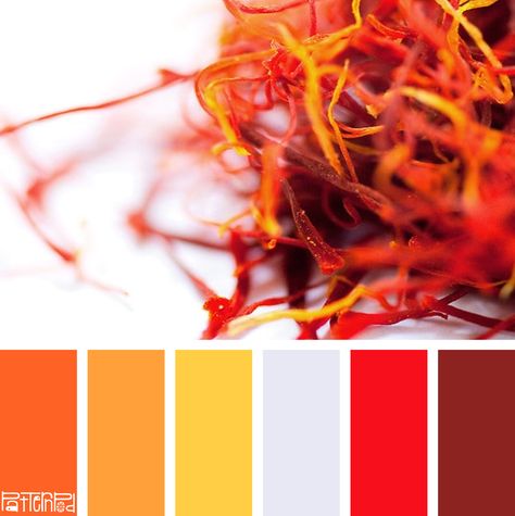 Simply Saffron #patternpod #patternpodcolor #color #colorpalettes Saffron Color Palette, India Pic, Saffron Color, Palette Playground, Saffron Spice, Paint Palettes, Painters Palette, India Colors, Design Seeds