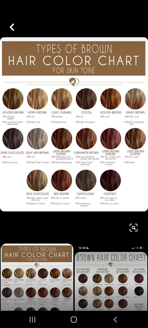 Hair Color Based On Skin Tone And Eye Color, Light Brown Hazel Hair, Brown Hair Tones Chart, Hair Colour For Skin Tone Shades, Hair For Light Olive Skin Tone, Best Hair Colour For Tanned Skin, Haircolor Ideas For Neutral Skin, Olive Skin Blue Eyes Hair Color, Brown Hair Cool Undertones