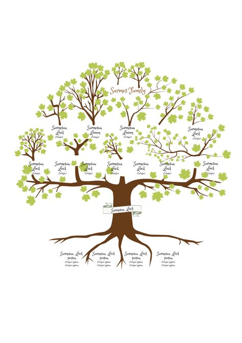 61 Free Family Tree Templates - Printable / Downloadable / Editable Diy Family Tree Ideas, Family Tree Template Printable Free, Free Family Tree Template Printables, Family Tree Designs Templates, Geneology Quotes, Family Tree Wallpaper, Tree Plan Png, Family Tree Graphic, Family Tree Drawing