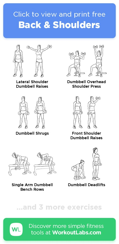 Shoulder Back Exercises For Women, Dumbell Pull Day Workout, Back Shoulder And Bicep Workout, Shoulders And Back Workout Dumbbells, Back And Shoulder Dumbbell Workout, Upper Back Muscle Workout, Easy Full Body Dumbbell Workout, Back And Shoulder Workout Gym For Women, At Home Back And Shoulder Workout