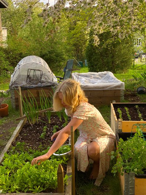 Garden Bed Aesthetic, Small Home Garden Aesthetic, Backyard Vegetable Garden Aesthetic, Spring Garden Aesthetic, How To Live A Cottagecore Lifestyle, Homestead Wife Aesthetic, Gardening Aesthetic Girl, Home Making Aesthetic, Garden Vision Board