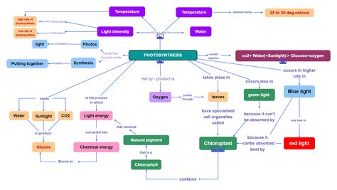 Detailed Concept Map of Photosynthesis Photosynthesis Concept Map, Photosynthesis Mind Map, Science Concept Map, Nutrition In Plants, Concept Mapping, Phylogenetic Tree, Photosynthesis And Cellular Respiration, Concept Maps, Cellular Respiration