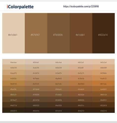 Drawing Advice, Aesthetic Colour, Brown Derby, Hex Color, Desain Buklet, Hex Color Palette, Dim Gray, Skin Color Palette, Brown Color Palette