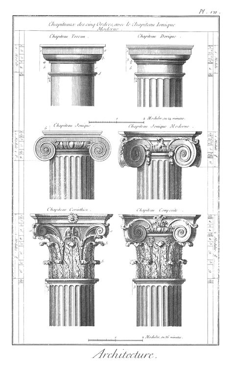 In de Renaissance bouwden ze veel pilaren, die net leken op die van de Romeinen. Dit is 'De hernieuwde oriëntatie op het erfgoed van de klassieke oudheid' Architecture Antique, Detail Arsitektur, Architectural Orders, Greek Columns, Istoria Artei, Roman Columns, Ancient Greek Architecture, Roman Architecture, Architecture History