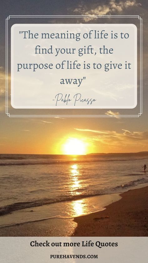 Live your purpose life quote Living With Purpose Quotes, Purpose Of Life Quotes, The Alchemist Paulo Coelho, Life Purpose Quotes, Church Sign Sayings, Finding Yourself Quotes, Sign Sayings, Purpose Quotes, The Purpose Of Life