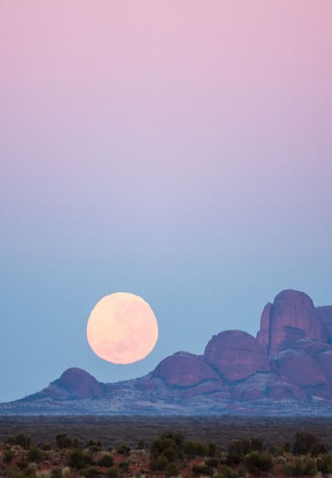 moon over the northern territory of australia | nature + landscape photography #adventure Landscape Photography Tips, Arte Inspo, Into The Wild, The Full Moon, To Infinity And Beyond, Tattoo Sketches, Full Moon, Beautiful World, Wonders Of The World