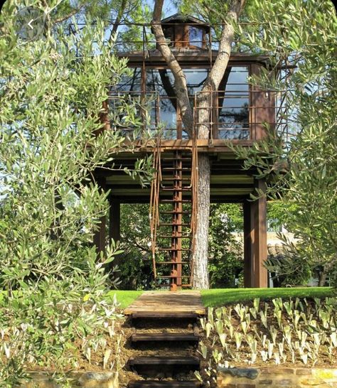 Simple Tree House, Luxury Tree Houses, Beautiful Tree Houses, Treehouse Hotel, Building A Treehouse, Cool Tree Houses, Go Glamping, Simple Tree, Tree House Designs