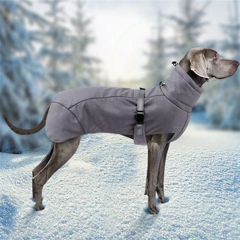 Warm Thicken Large Dog Coat Jacket For Medium Large Dogs High Collar Winter Pet Clothes Collie Shepherd Mascotas Clothing Outfit Origin : Cn (Origin) Material : Polyester Type : Dogs Season : Autumn/Winter Pattern : Solid Name : Warm Thicken Big Dog Coat Jacket Color : Red,Pink,Brown,Gray Size : XS,S,M,L,XL,XXL,3XL Suit : Greyhound,Saluki,Viscera Hound,Bulldog For more products details, please visit: https://www.etsy.com/hk-en/shop/ChenYufashionstore?ref=seller-platform-mcnav Coat For Dogs Pattern, Dog Jacket Patterns, Large Dog Coats, Big Dog Clothes, Dog Jackets Winter, Large Dog Clothes, Dog Clothes Diy, Dog Light, Dog Winter Coat