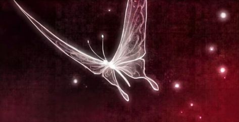 Silver butterflies Silver Butterfly Wallpaper Tgcf, Tgcf Silver Butterflies, Silver Butterfly Aesthetic, Silver Butterflies Tgcf, Hua Cheng Silver Butterflies, Heaven Official’s Blessing Butterflies, Hua Cheng Butterfly Tattoo, Heavens Official Blessing Butterfly, Tgcf Butterflies