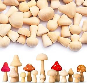 40 Pcs Unfinished Wooden Mushroom Natural Mini Wood Mushrooms Various Sizes Wood Mushroom Figures for Arts and Crafts, DIY Projects Ornaments Paint Color Home Desk Bookshelves Decoration Wood Mushrooms, Wooden Mushrooms, Mushroom Kits, Bookshelf Desk, Mushroom Decor, Bookshelf Decor, Arts And Crafts Projects, Childrens Art, Unfinished Wood