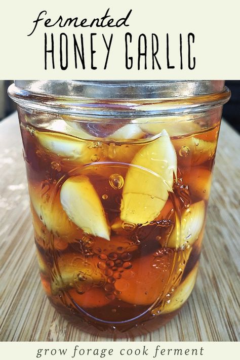 You won't believe how easy is it to make this immune boosting fermented honey garlic. It's the perfect first recipe for beginner herbalists. Both honey and garlic have strong medicinal properties, so you'll want to have this home remedy on hand for cold and flu season. Click through to get the recipe and learn all the amazing benefits of garlic fermented in honey. #honey #garlic #fermented #ferment #immuneboosting #immunity #homeremedy #homeremedies Fermented Garlic, Honey And Garlic, Fermented Honey, Garlic Honey, Garlic Benefits, Fermentation Recipes, Garlic Recipes, Honey Recipes, Honey Garlic