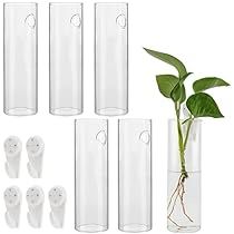 Propagation Containers, Hanging Glass Terrarium, Wall Mounted Planters, Plant Propagation, Garden Wedding Decorations, Glass Flower Vases, Plants Garden, Glass Terrarium, Wall Vase