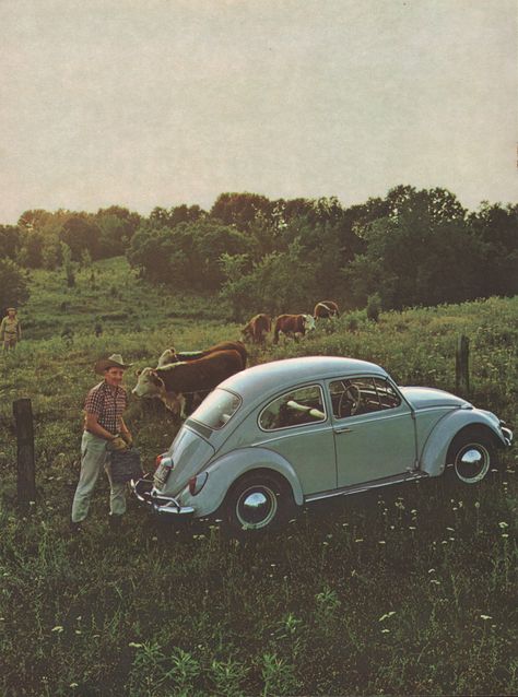 Vw Type 3, Future Transportation, Western Photography, The Beetle, Volkswagen Bug, Vw Aircooled, Vintage Volkswagen, Sales Brochure, Vw T1