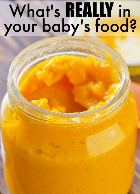 Do you know what's in your baby's food? Now you can know! #ad #CLPBabyFoodMagnified @thecleanlabel Squash Baby Food Recipe, Butternut Squash Baby Food, Baby Food By Age, Raspberry Leaf Tea, Baby Food Storage, Baby Puree Recipes, Baby Puree, Homemade Baby Foods, Homemade Baby Food