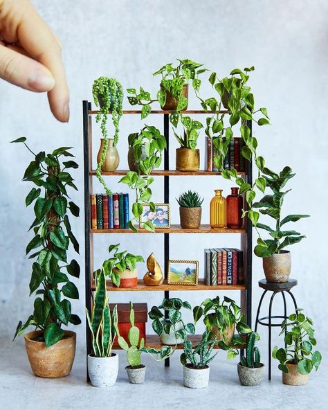 The Daily Miniature 🔍 en Instagram: “plant bookshelf by @hannahlemon_art. 🪴” Plant Bookshelf, Spider Habitat, Miniature Bookshelf, Mini Bookshelf, Room Box Miniatures, Bookshelf Art, Vitrine Miniature, Doll Furniture Diy, Mini Flowers