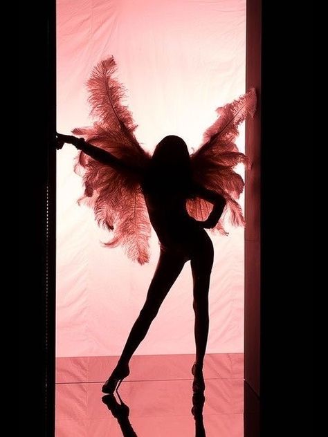 Victoria's Secrets, Not Mine, Victoria Secret, A Woman, Angel, Wall, Pink