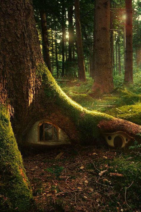 . Sztuka Science Fiction, Tre Kunst, Enchanted Wood, Faeries Gardens, Fairy Tree, Gnome House, Fairy Garden Houses, Wallpaper Laptop, Have Inspiration